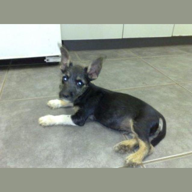 Photo of Tai