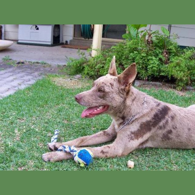 Photo of Floyd