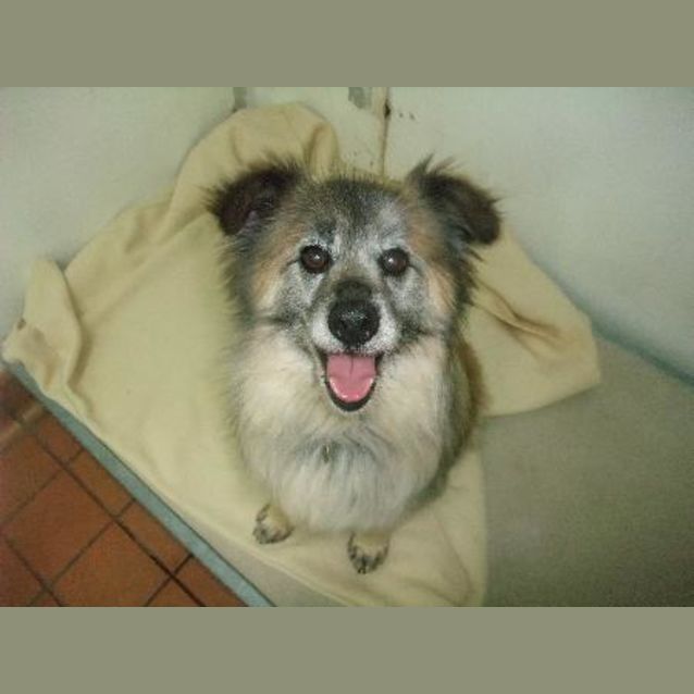 Photo of A5934   'Benji'