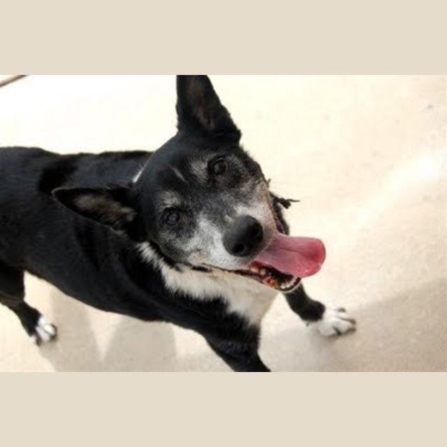 Photo of Bentley