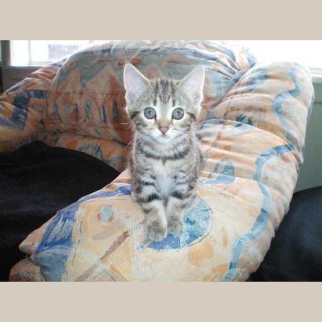 Photo of Evie