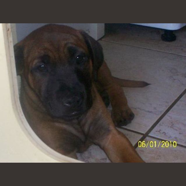 Photo of Babi