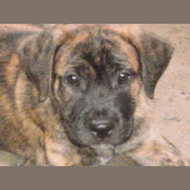 Photo of Lilli