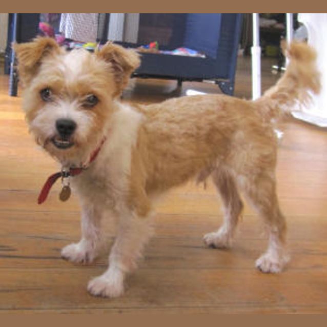 Photo of Vito