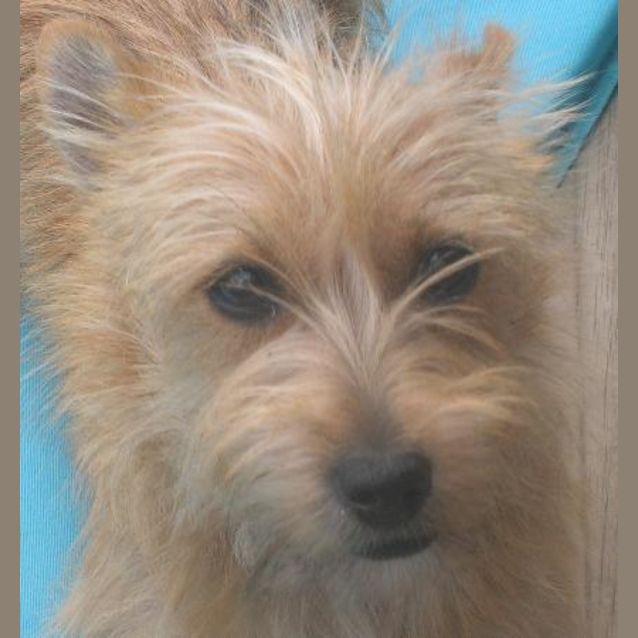 Photo of Rachel (Now Fleur)