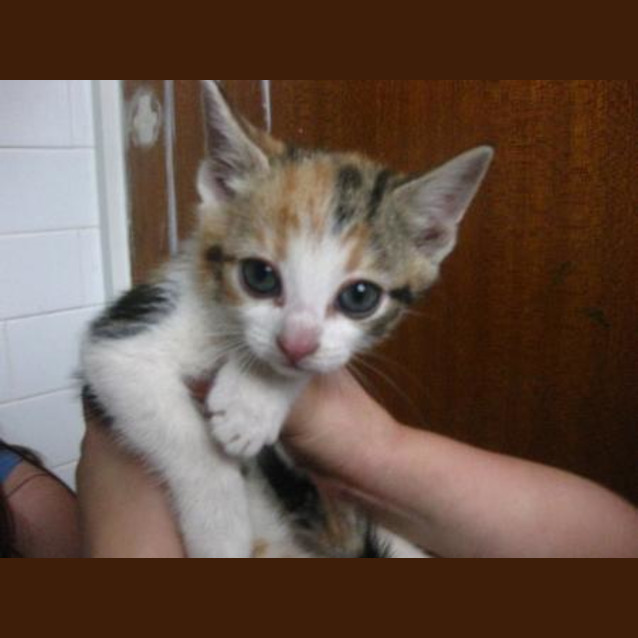 Photo of Rowena