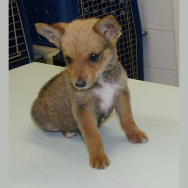 Photo of Sugar