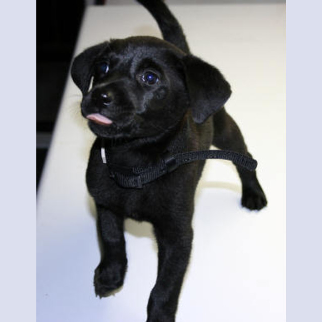 Photo of Tasha