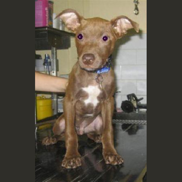 Photo of Hunter