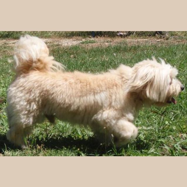 Photo of Ginto