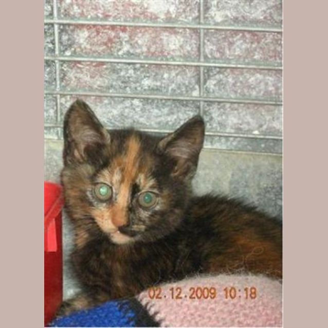 Photo of Miss Giggles