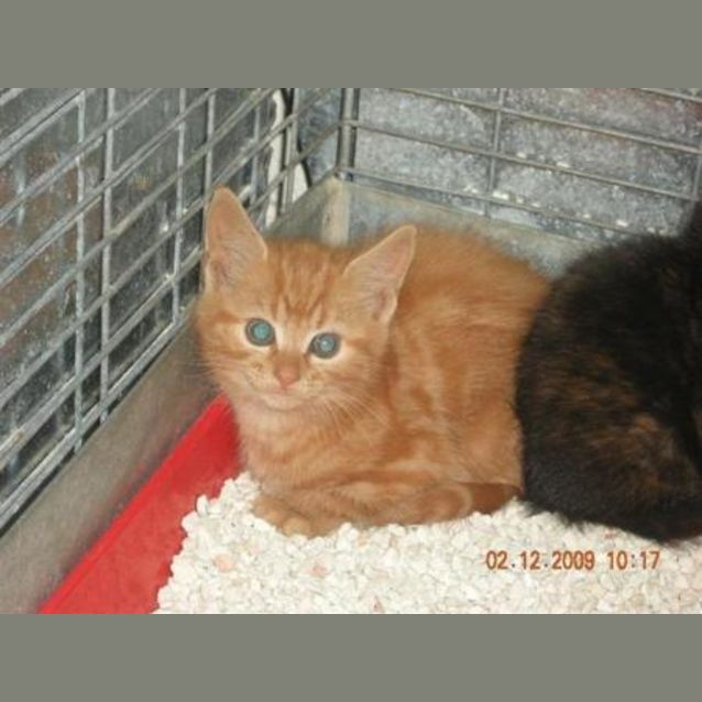 Photo of Mr Mischief