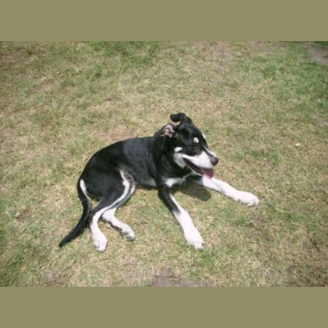 Photo of Marly
