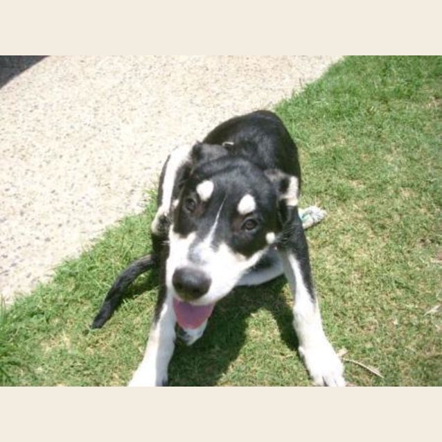 Photo of Marly