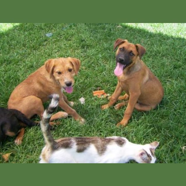 Photo of Jenna Adopted