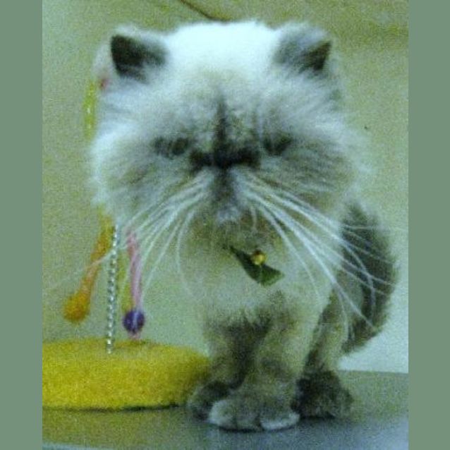 Photo of Miss Patty
