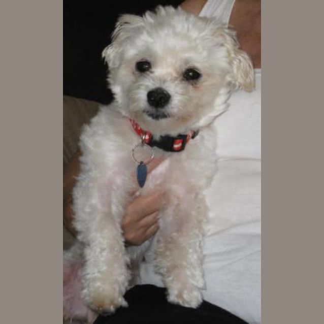Photo of Timmy