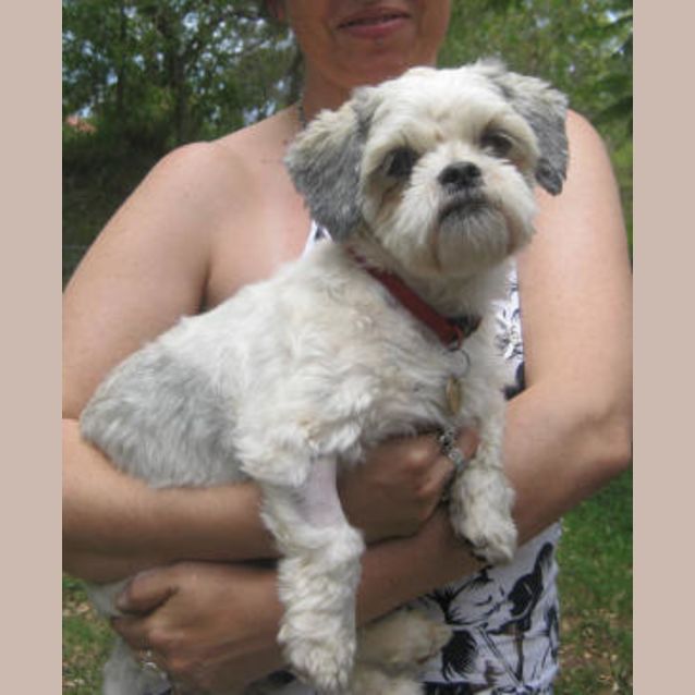 Photo of Rosie