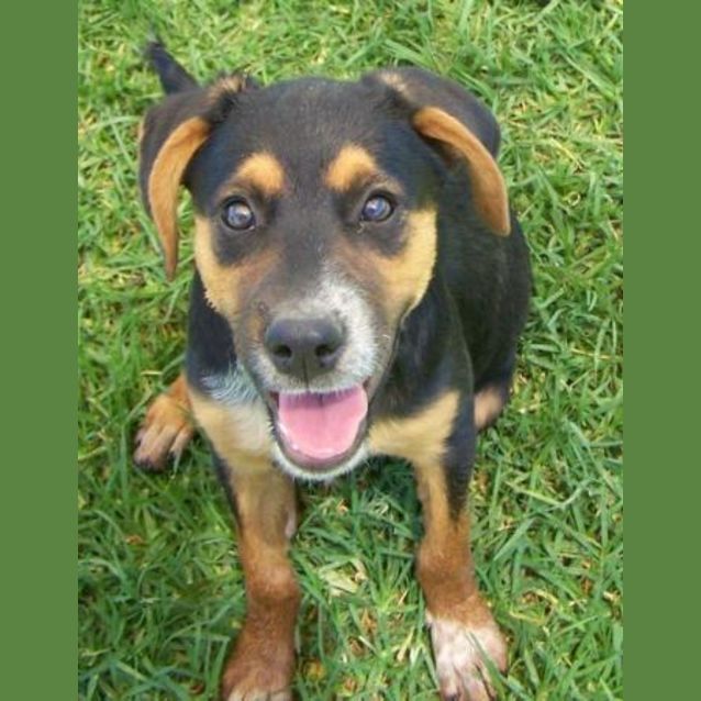 Photo of Jodie Adopted