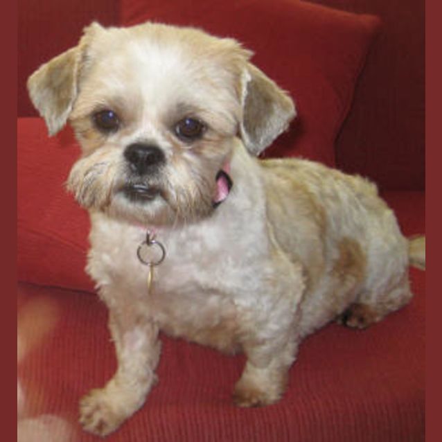 Photo of Lily Belle