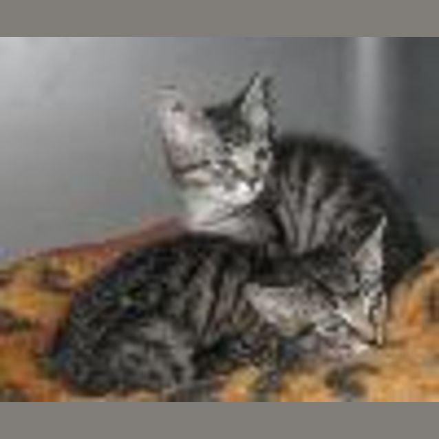 Photo of Trudy