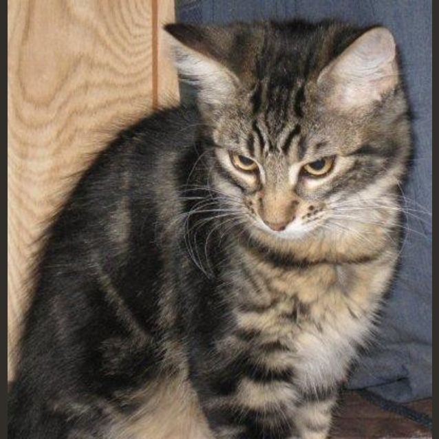 Photo of Tussle