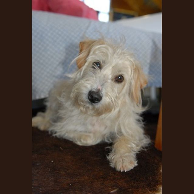 Photo of Tilly