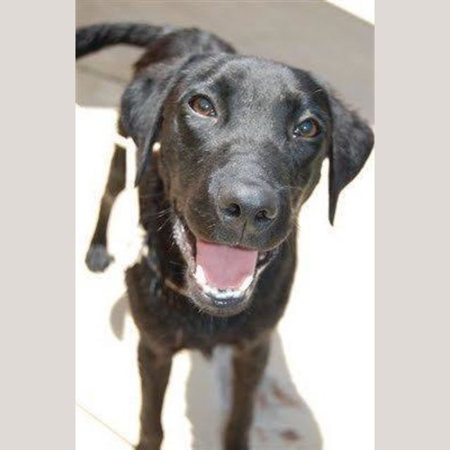 Photo of Buddy
