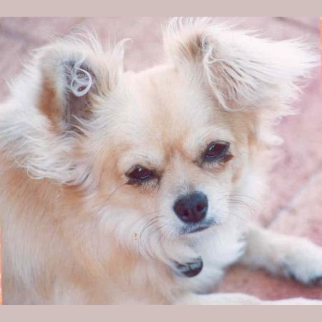 Photo of Orbit