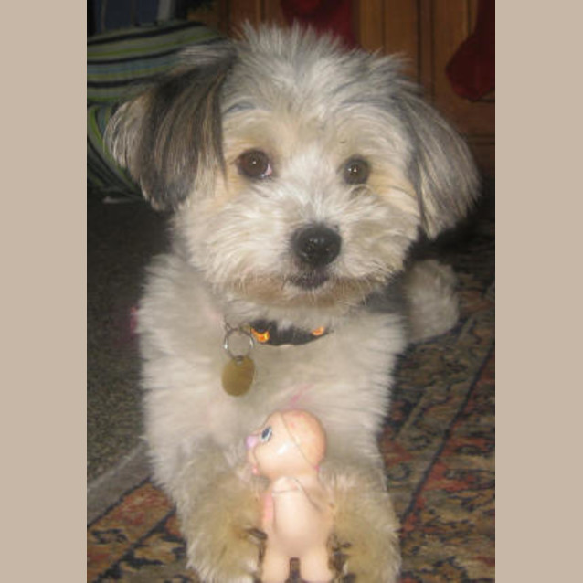 Photo of Nicholas
