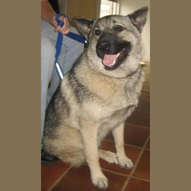 Photo of Zephyr