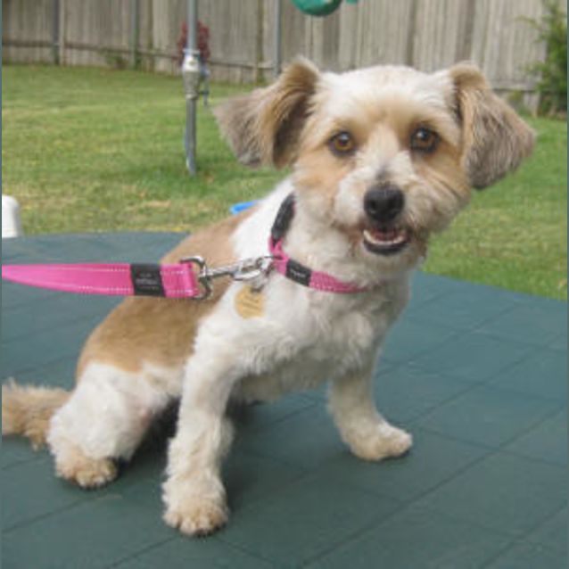 Photo of Holly