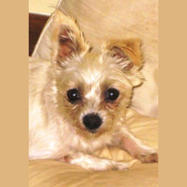 Photo of Pippy