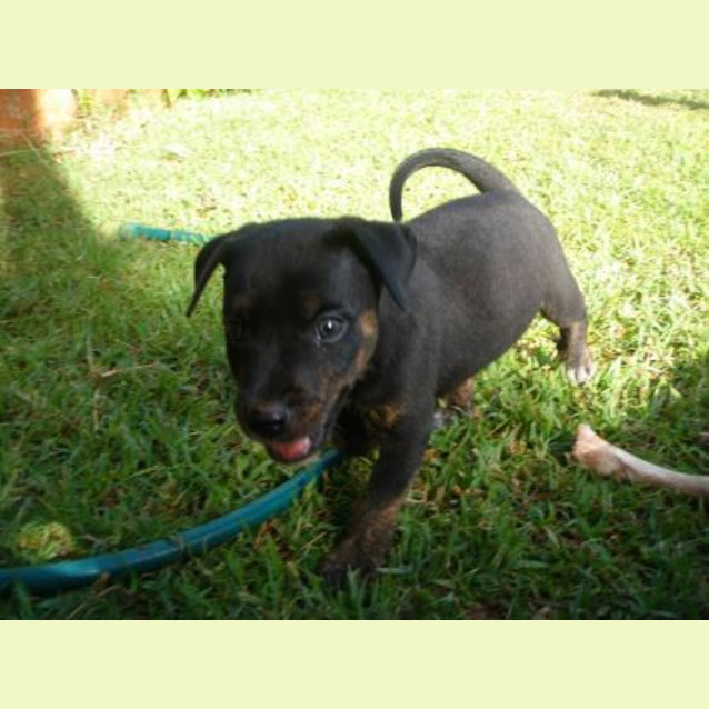Photo of Skittles