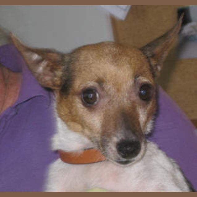 Photo of Charlie Girl