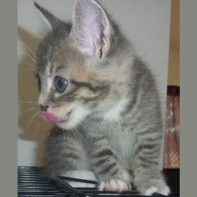 Photo of Hamish