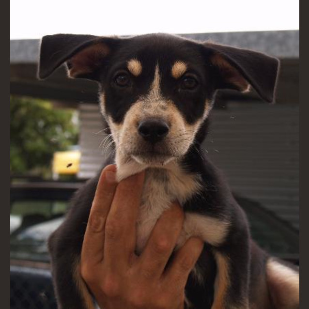 Photo of Milly