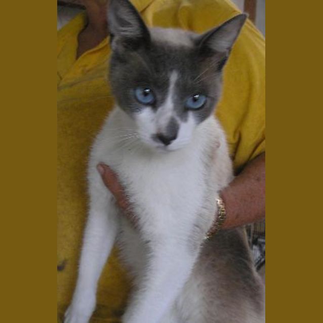 Photo of Hunter