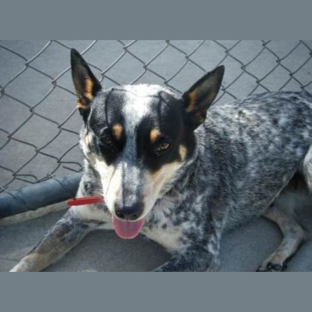 Photo of Molly