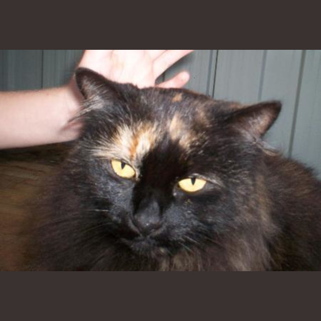 Photo of Sophie