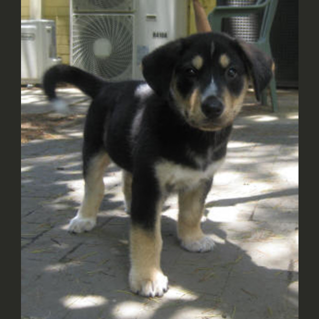Photo of Hercules