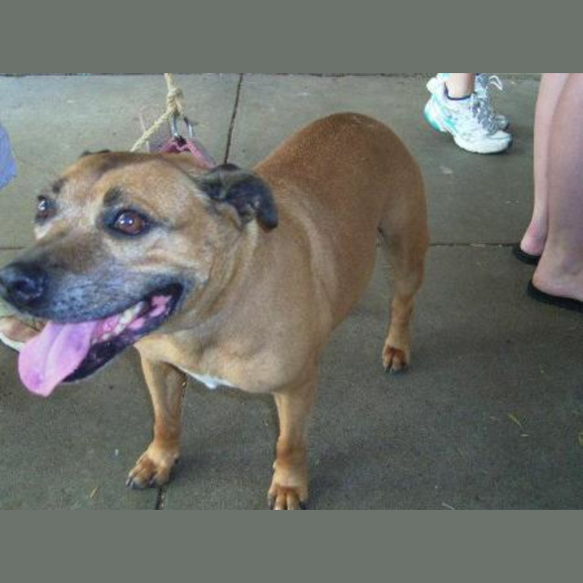 Photo of Gretel