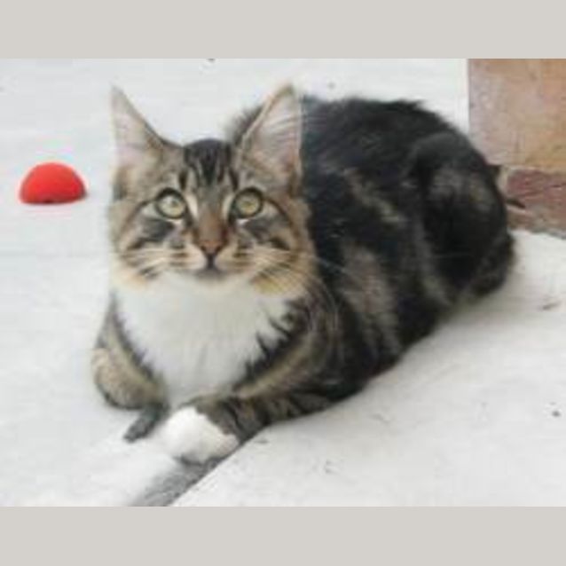 Photo of Holly