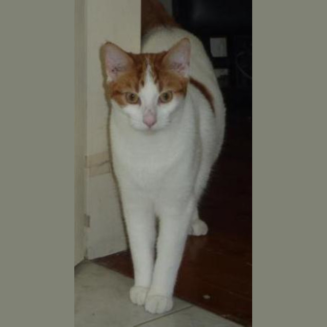 Photo of Jasper