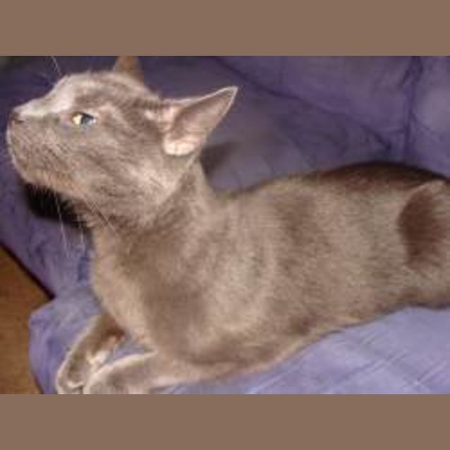 Photo of Olivia