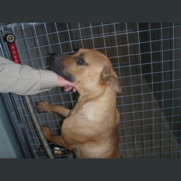 Photo of **Urgent!** Zac Is Out Of Time Fri 15/01/10