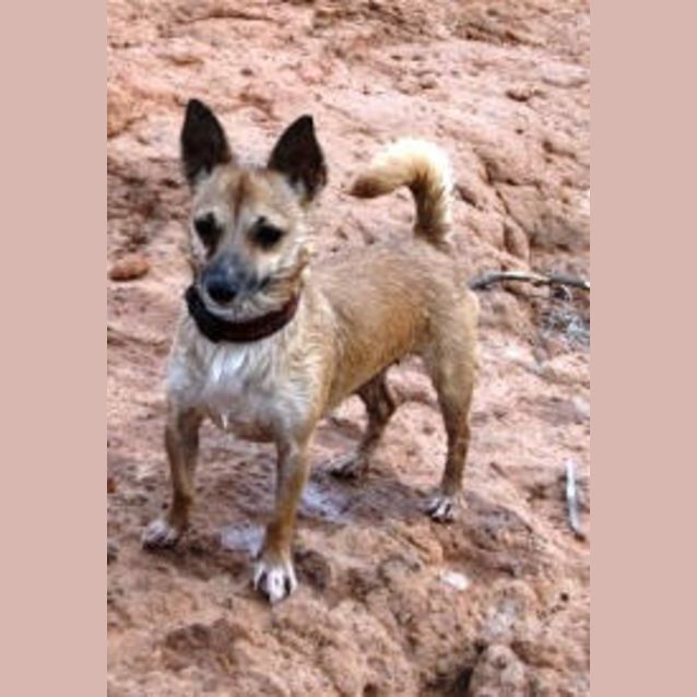 Photo of Maya