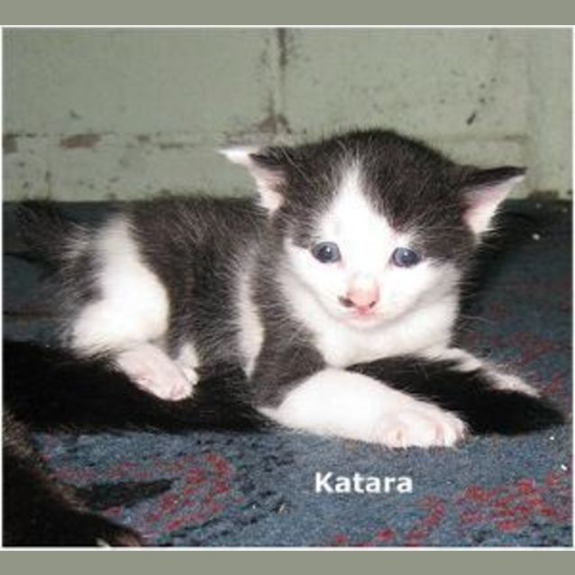 Photo of Katara
