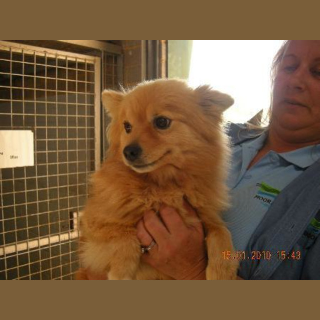 Photo of Polly Pocket