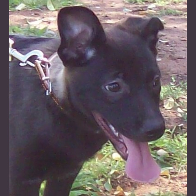 Photo of Bibi